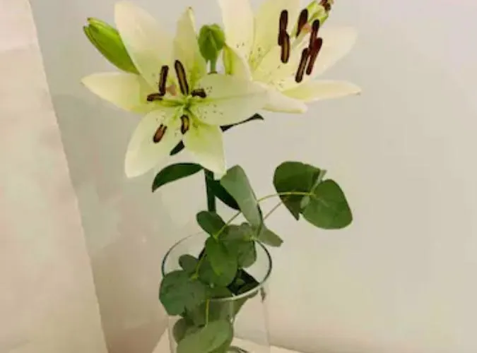 Puerto Banus Apartmán Marbella