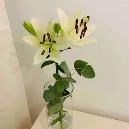 Puerto Banus Lägenhet Marbella