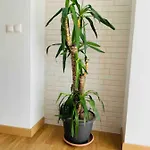 Puerto Banus Apartmán Marbella