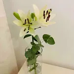 Puerto Banus Apartmán Marbella